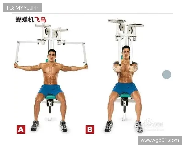 飞鸟健身器材的多样选择与使用技巧探讨 飞鸟健身器材的多样选择与使用技巧探讨