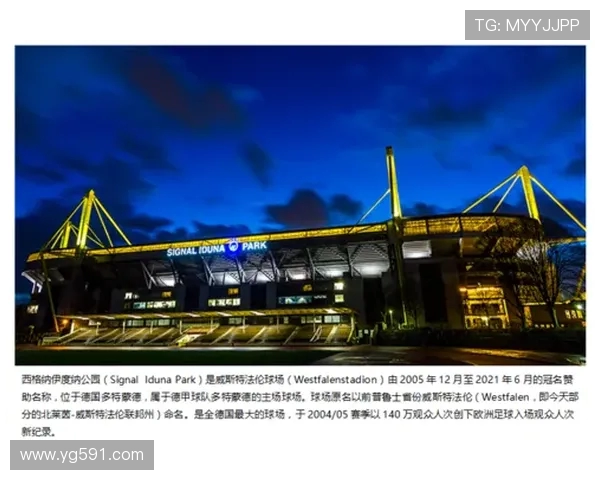 德甲球队名称的来源和命名规则介绍 德甲球队名称的来源和命名规则介绍