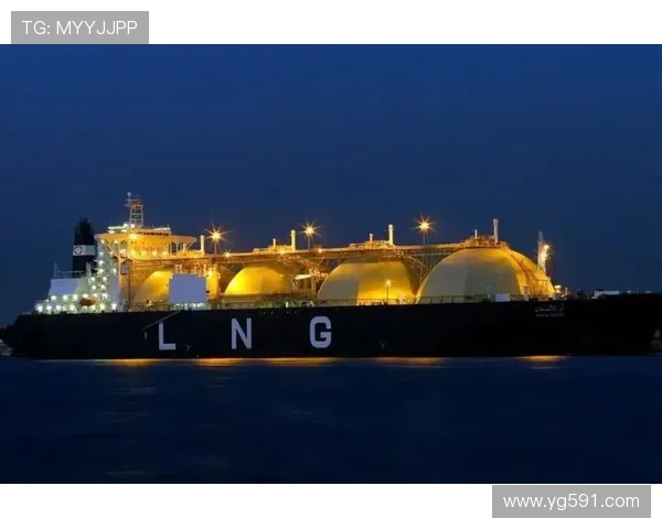 德甲球队的盈利能力与财务健康状况